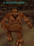 Npc a muddite elder.png