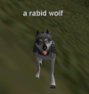 Npc a rabid wolf.png