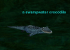 Npc a swampwater crocodile.png