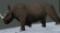 Npc a wooly rhino.png
