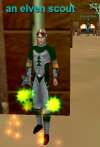 Npc an elven scout.png