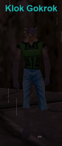 Klok Gokrok