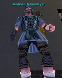Sentinel Drakeslayer