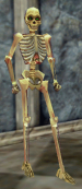 Npc skeleton lrodd.png
