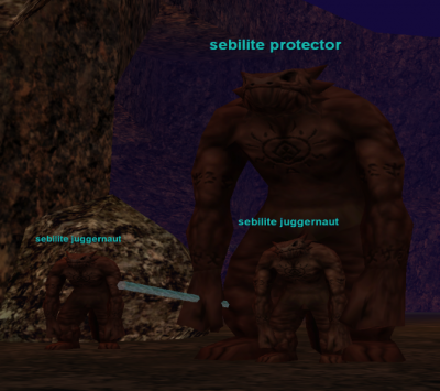sebilite protector
