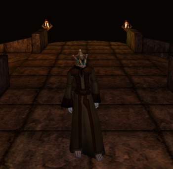 Tattered tomb shroud.jpg