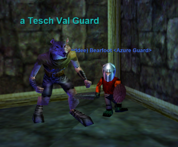 a Tesch Val Guard